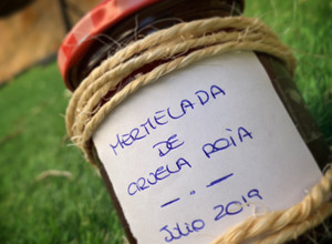 Foto principal de Mermelada de ciruela roja en thermomix