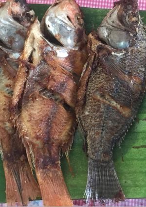 Foto resep Geboy mujaer goreng 🐟