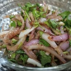 A picture of Onion salad.