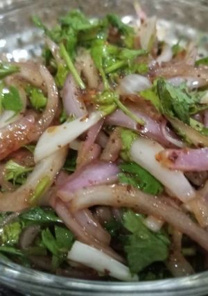 A picture of Onion salad.