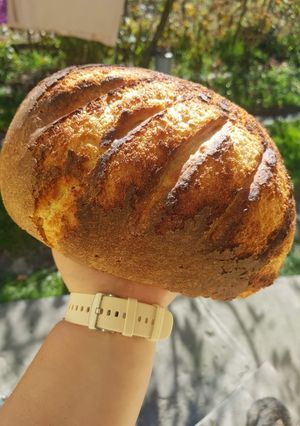 Házi kenyér 🍞 recept fotója