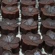 29. Brownies Ekonomis 2 telur (no mixer)