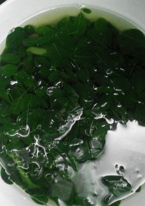 Foto resep Sayur Daun Kelor Khas Bima