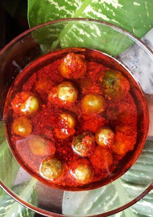 ગુંદાનું અથાણું (Gunda Athanu Recipe In Gujarati) રેસીપી મુખ્ય ફોટો