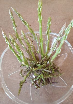 Foto di Frittata di asparagi selvatici