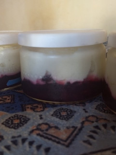 Una foto de Yogurt Griego hecho con LECHE EN POLVO, con colchón de grosellas