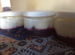 Una foto de Yogurt Griego hecho con LECHE EN POLVO, con colchón de grosellas