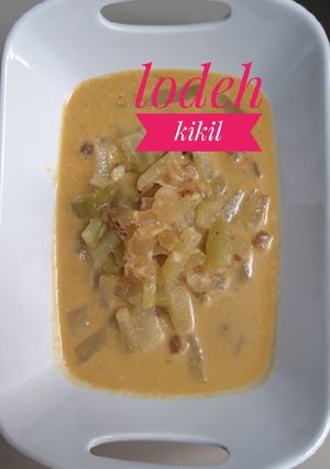Foto resep 88.Lodeh kikil