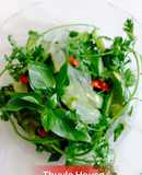 Gỏi sứa dưa leo