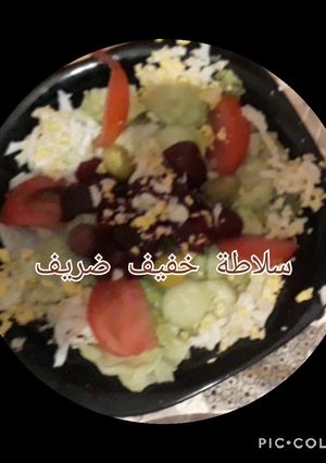 صورة لوصفة سلاطة خفيف ظريف 4