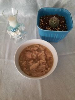 عکسی از دستور سیرابی 🐄