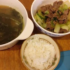 A picture of Stirfried beef with bok choy.