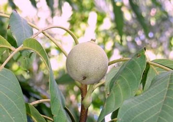 Recipe of Homemade Karydaki (fresh walnut) spoon sweet