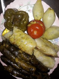عکسی از دستور دلمه دلمه