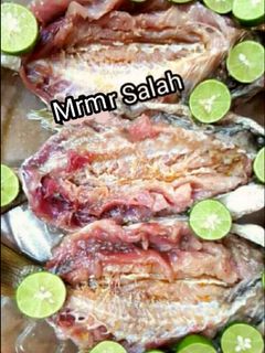 صورة لوصفة الفسيخ البيتي روعه 👌