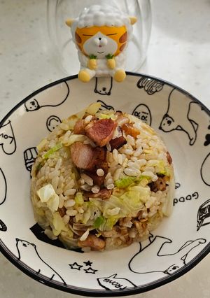 A picture of Salted Pork and Vegetable Fried Rice (Fridge Mystery Meal #3).