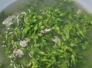 Hình ảnh của hến nấu