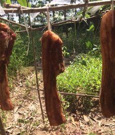 thịt ba rọi một nắng