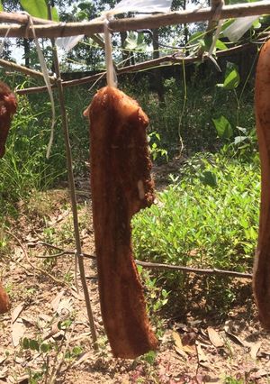 Hình của món Ba chỉ 1 nắng.