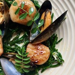 A picture of Scallops and Mussels on Buttery Samphire With Lemon and Wild Garlic Emulsion.