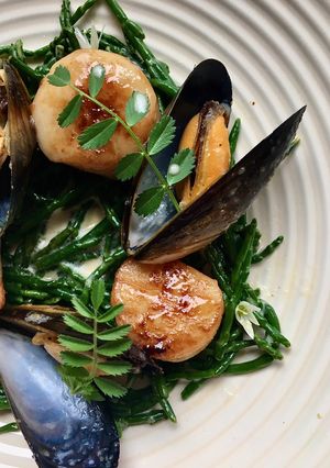 A picture of Scallops and Mussels on Buttery Samphire With Lemon and Wild Garlic Emulsion.