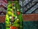 কাঁচা লঙ্কার আচার (Kancha Lonkar Achaar Recipe in Bengali)