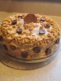 Peanut Butter Cup Cake