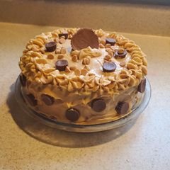 A picture of Peanut Butter Cup Cake.