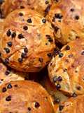Pangoccioli
