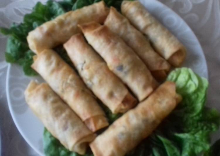 Baked chicken and vegetable spring rolls