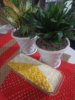عکسی از دستور سالاد الویه بامرغ 😋😋😋