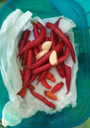 Foto resep Tips menyimpan cabe anti busuk