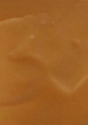 Foto resep Saus Keju ala Richees* (4 bahan)