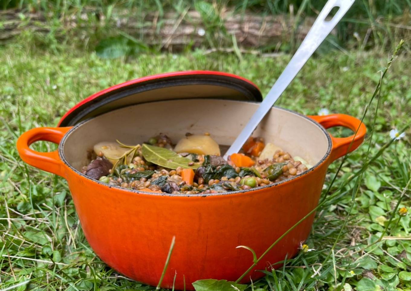 Use up the Veg - Seasonal Lentil Stew 🌱