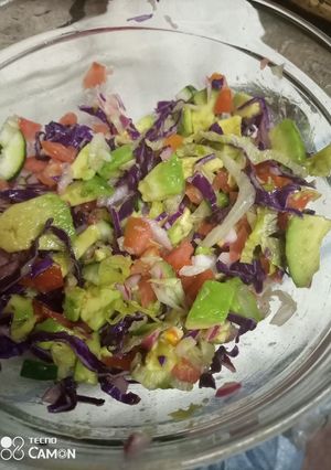A picture of Salsa.