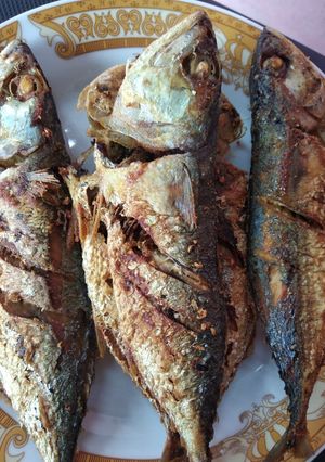 Foto resep Ikan kembung goreng bumbu marinasi