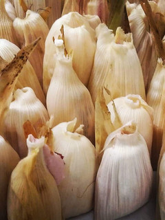 Una foto de Tamales de guayaba