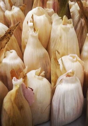 A picture of Guava Tamales.