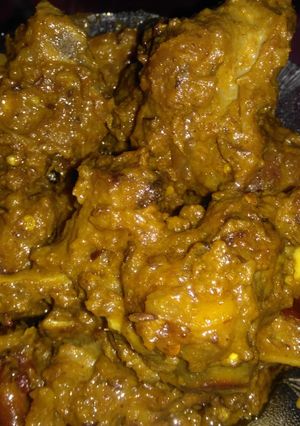 A picture of Mutton do pyaza.
