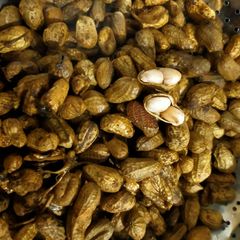 Boiled Peanuts With Shell A picture of Boiled Peanuts With Shell.
