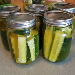 A picture of Polish Dill Pickles.