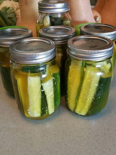 A picture of Polish Dill Pickles.