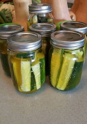 A picture of Polish Dill Pickles.