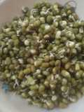 முளைகட்டிய பச்சைப்பயறு (Mulaikattiya pachai payaru recipe in tamil)