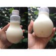 Silky puding boba (botol bohlam)