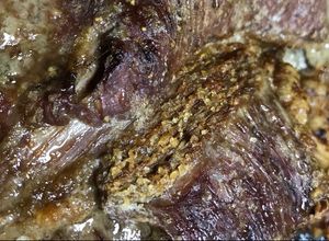 Una foto de Sobrecostilla al horno