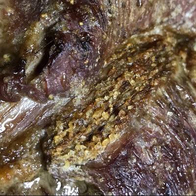 18 delicias de la comida típica de Chile - Hoydelicias