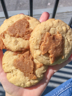 A picture of Praline Sugar Cookies.
