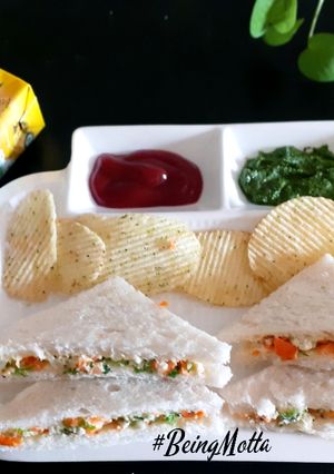 A picture of Garden Sandwich.