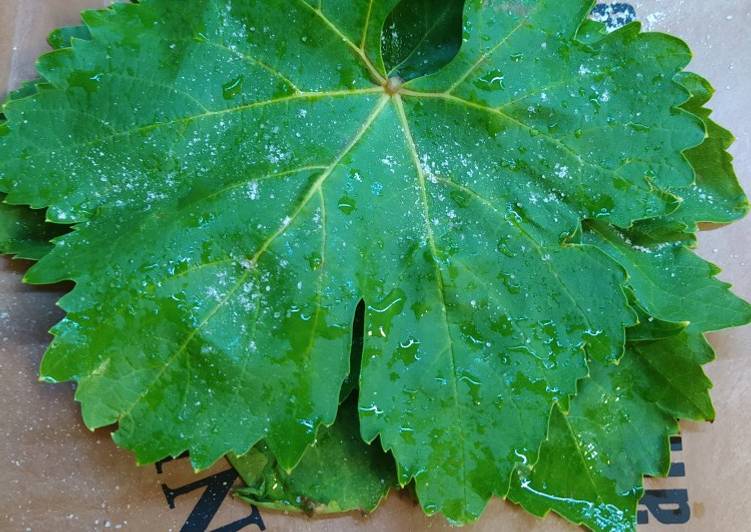 فریز کردن برگ مو دستور توسط maryam jalali - کوکپد